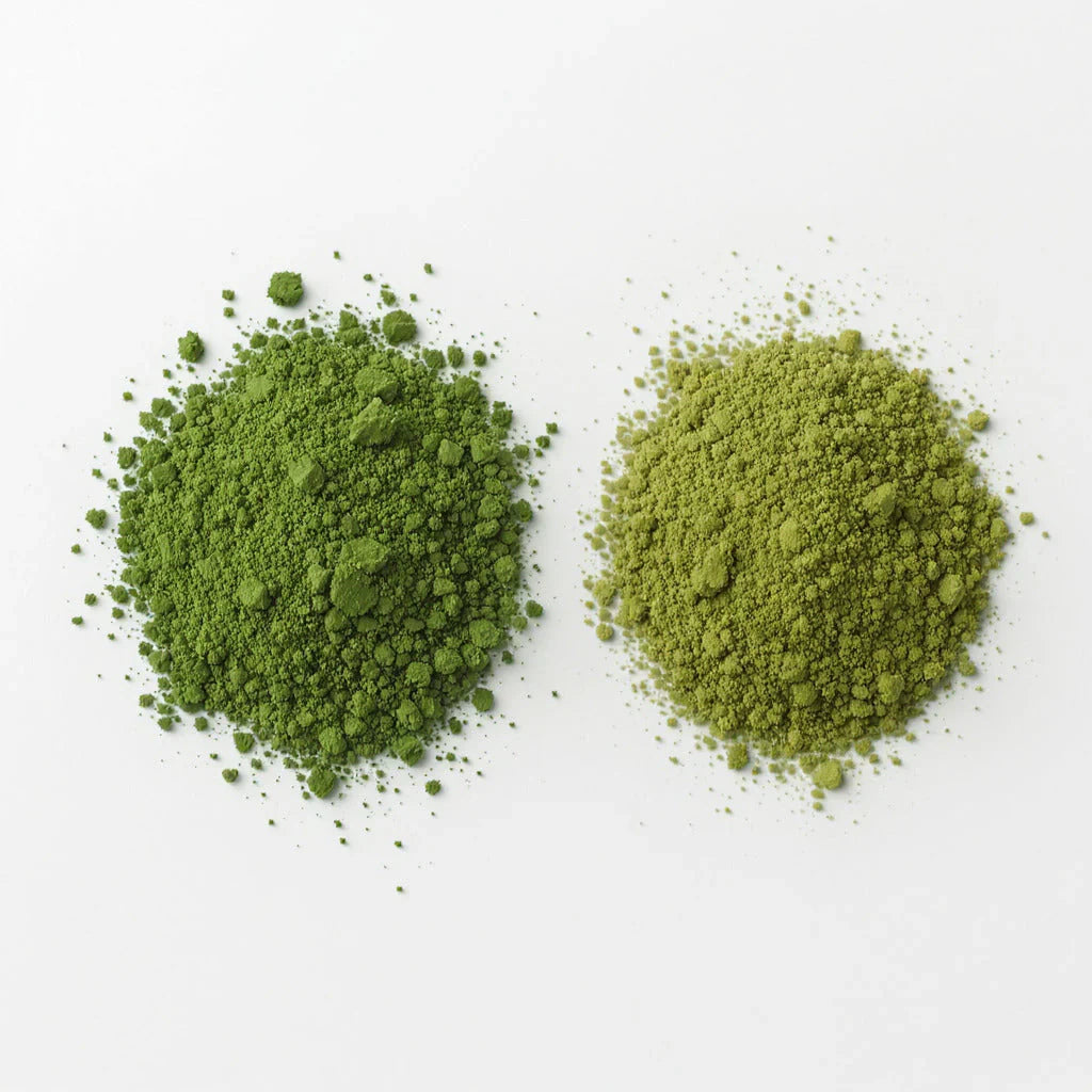 Matcha cérémonial vs culinaire : lequel choisir ?